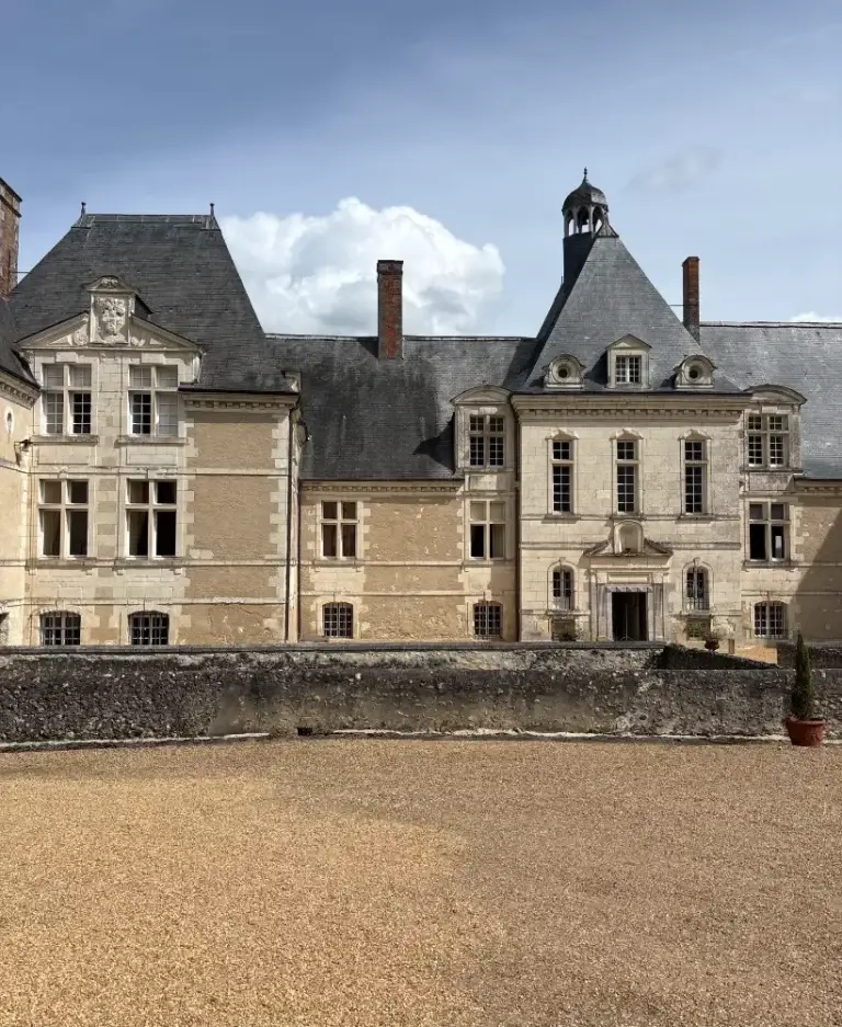 Chantier de nettoyage HYGIFORCE (2)
