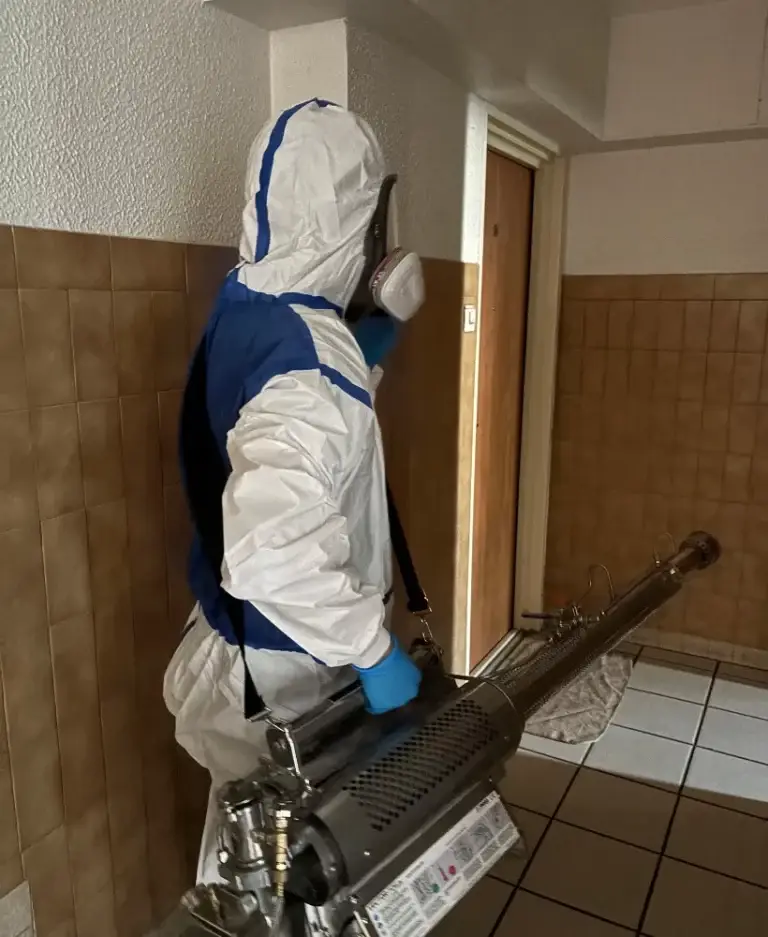 Nettoyage post mortem Amboise – intervention HYGIFORCE 3