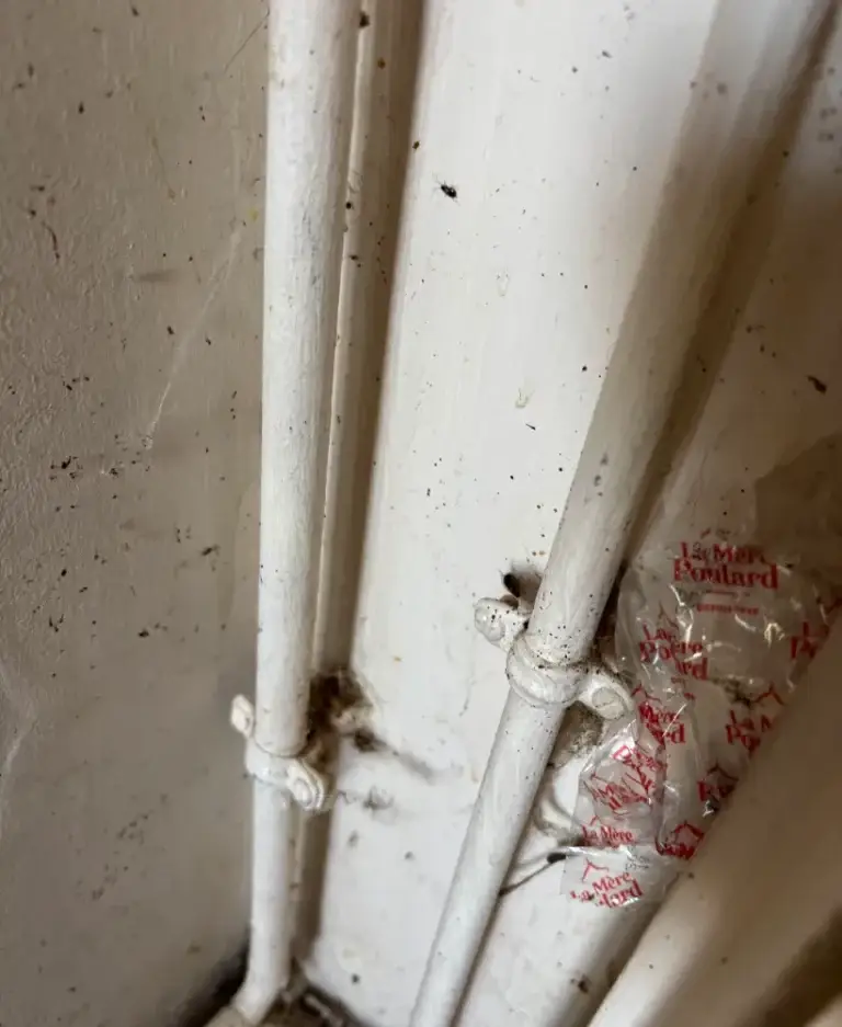 Nettoyage après incendie Poitiers – intervention HYGIFORCE 3