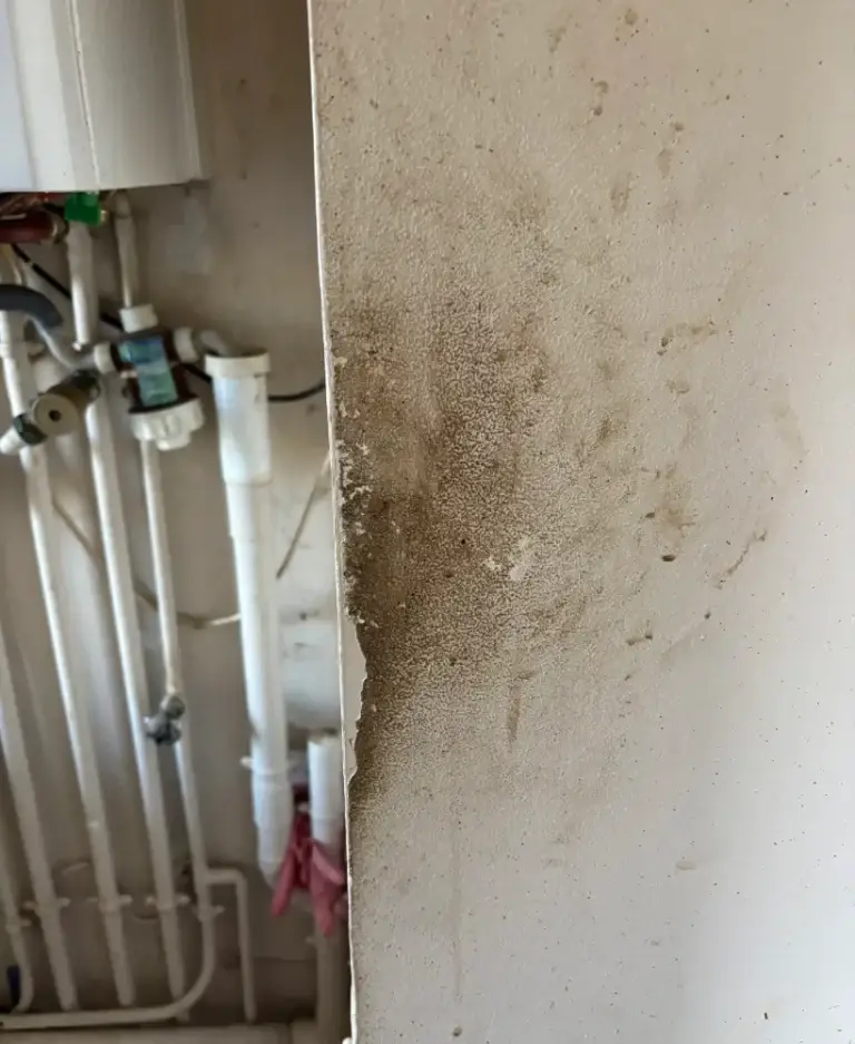 Nettoyage après sinistre Saumur – intervention HYGIFORCE 2