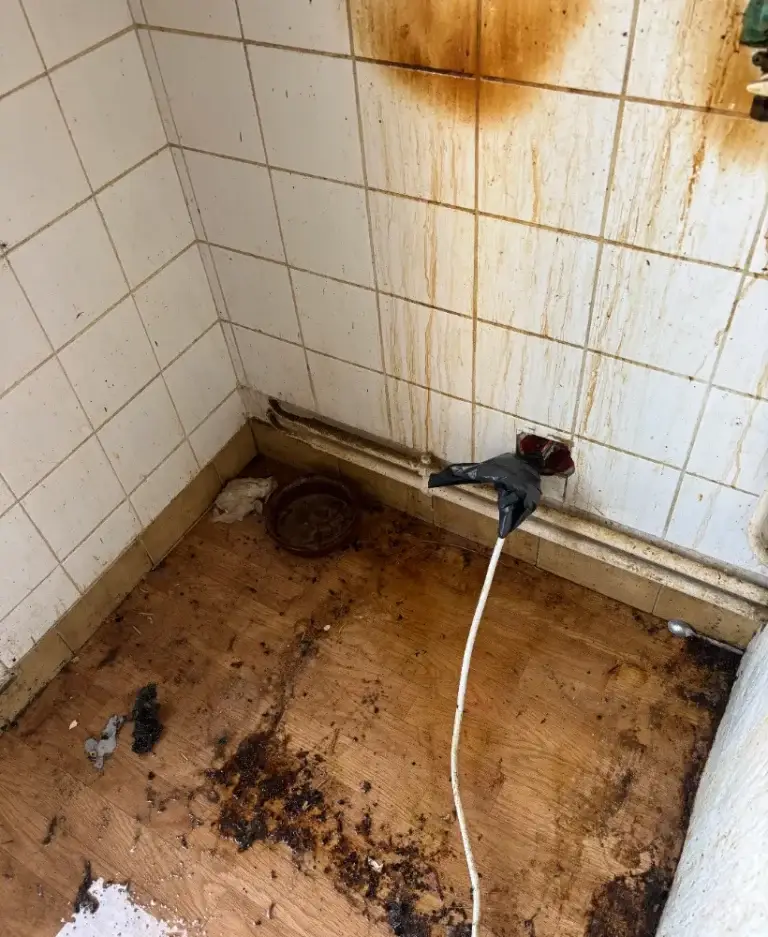 Nettoyage après sinistre Chinon – HYGIFORCE